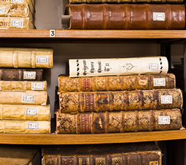 Biblioteca de Pamplona, libros